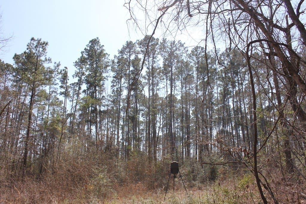 57 acres in Texas County gallery image 3