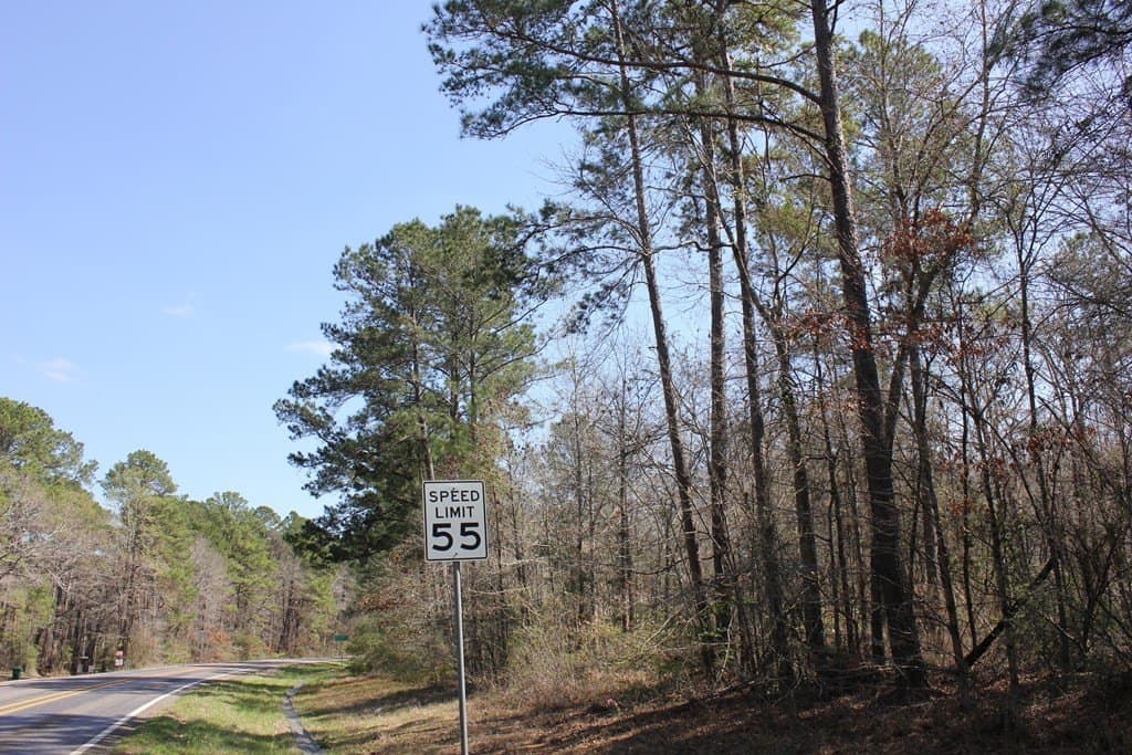 57 acres in Texas County - photo 8