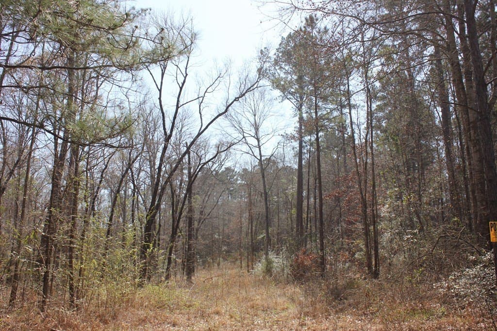 57 acres in Texas County - photo 9