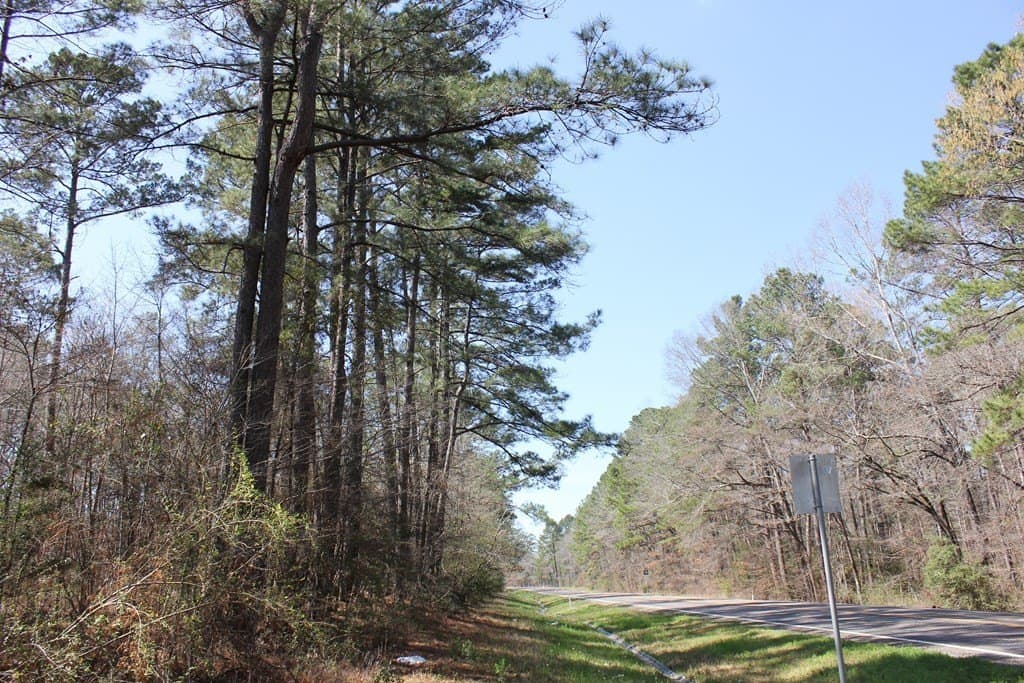 57 acres in Texas County - photo 6