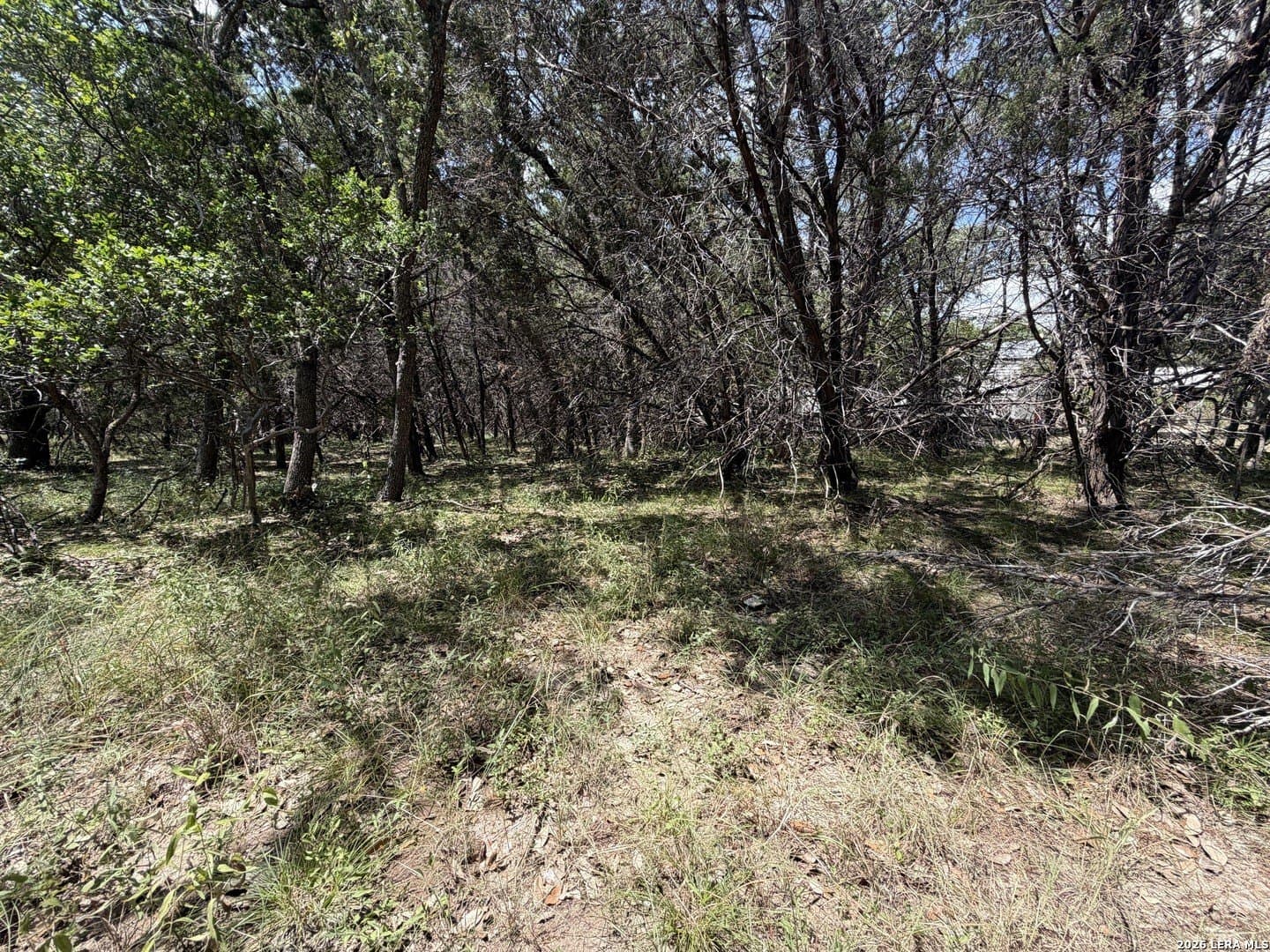 0.85 acres in Comal County - photo 20