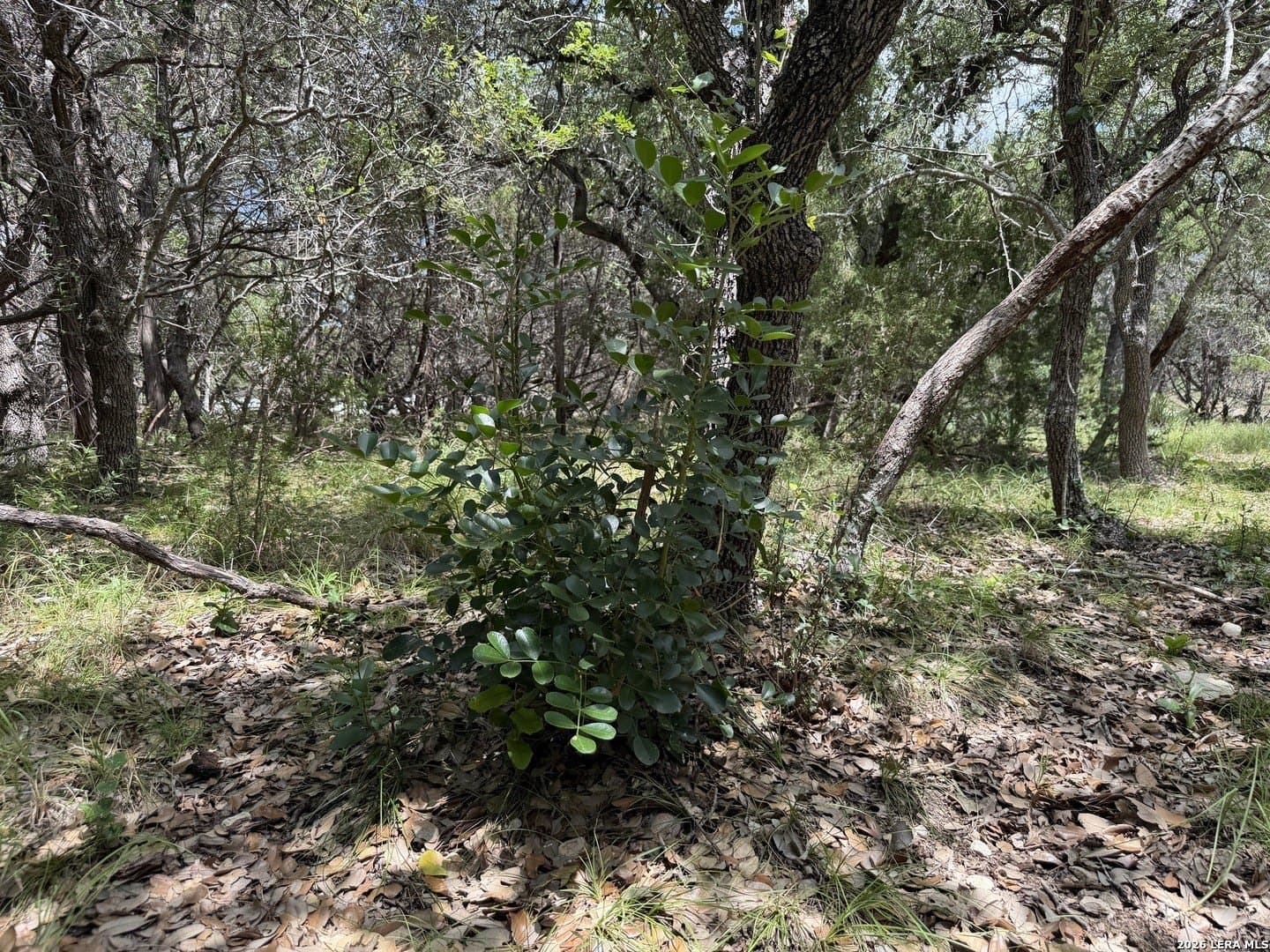 0.85 acres in Comal County - photo 34