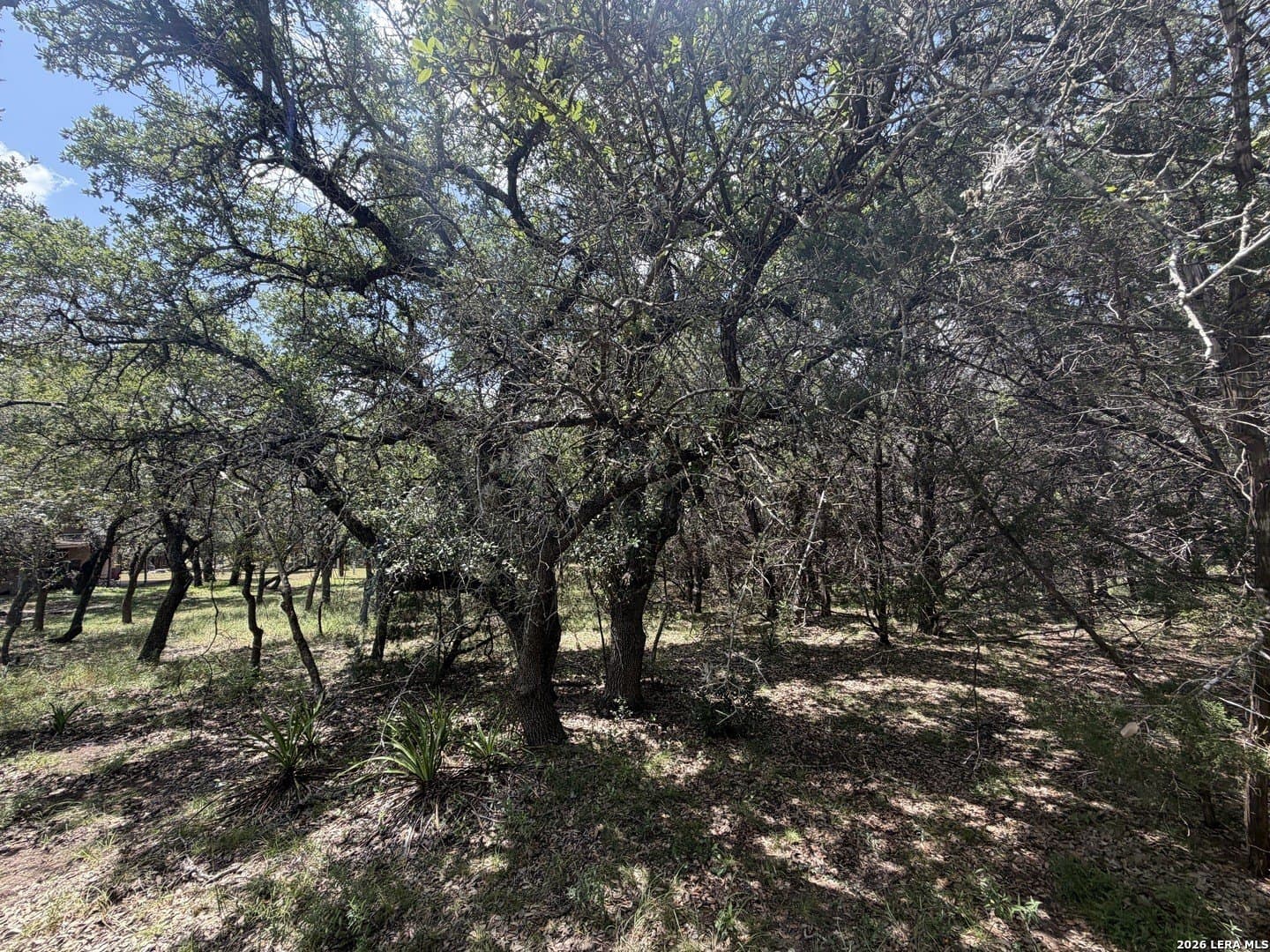 0.85 acres in Comal County - photo 22