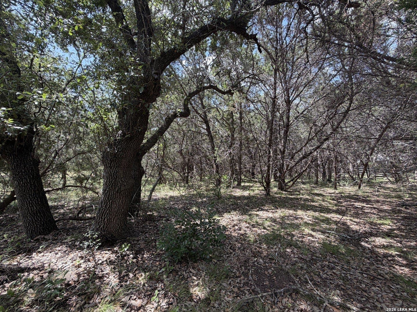 0.85 acres in Comal County - photo 10