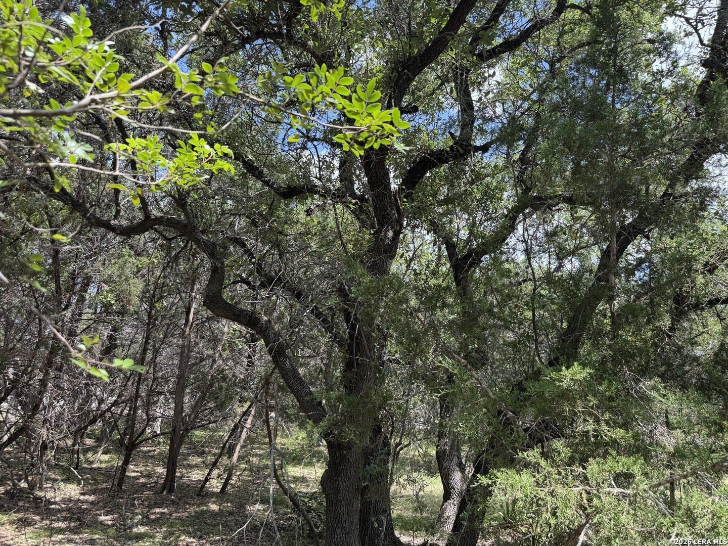 0.85 acres in Comal County - photo 13