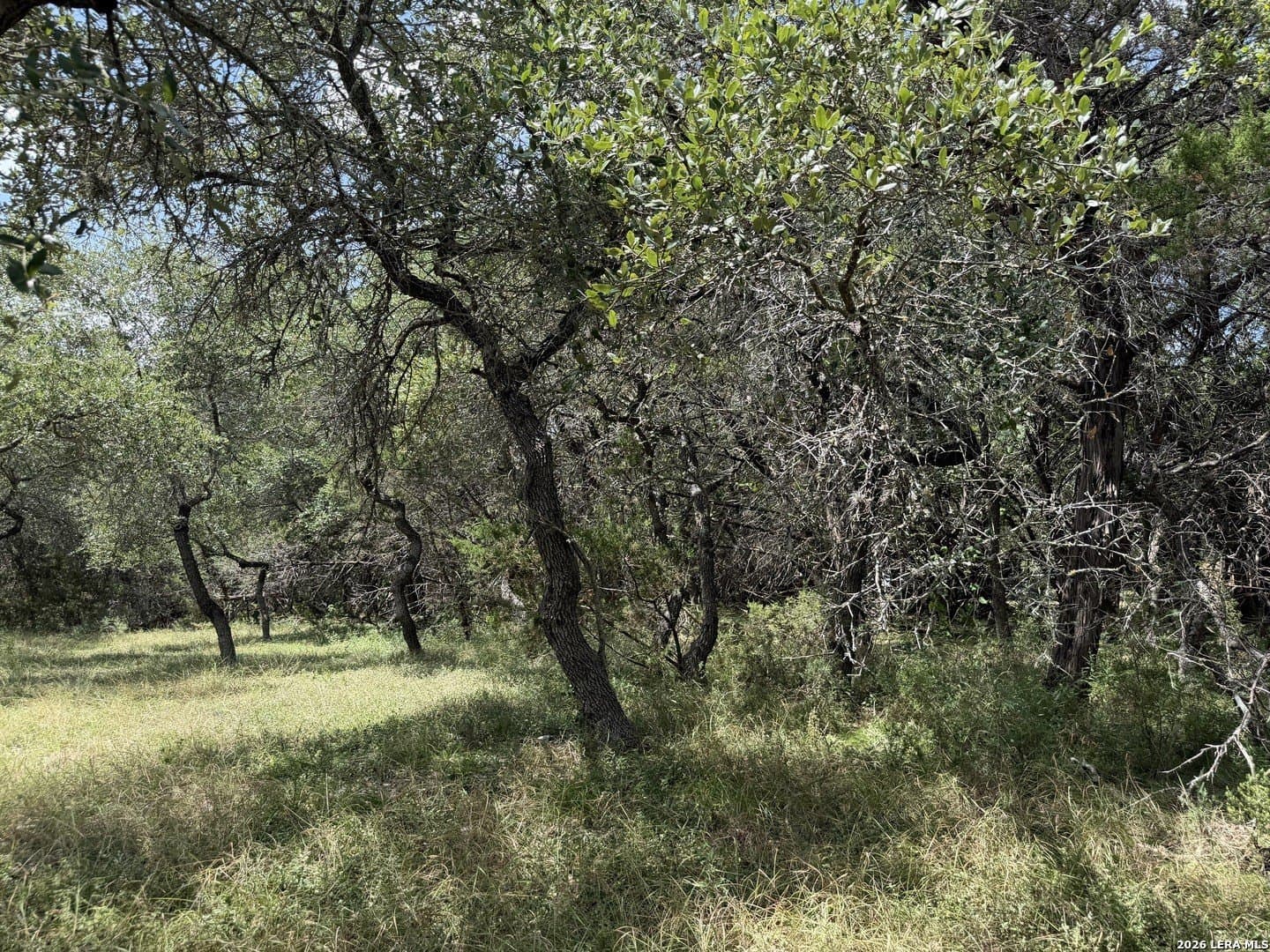 0.85 acres in Comal County - photo 30