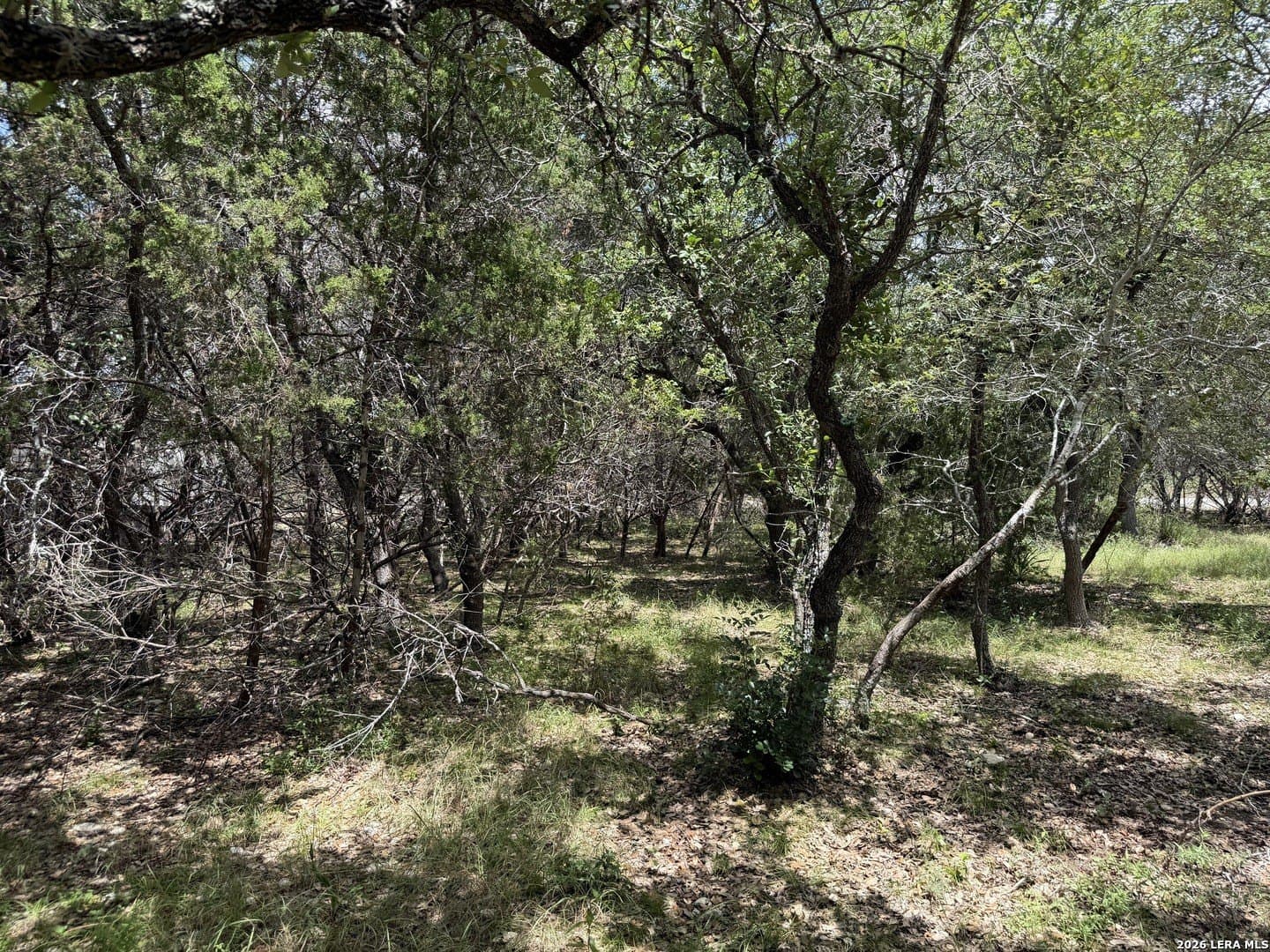 0.85 acres in Comal County - photo 33