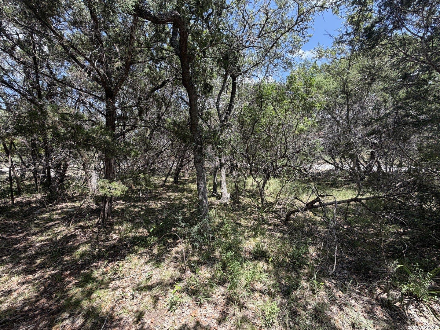 0.85 acres in Comal County - photo 24
