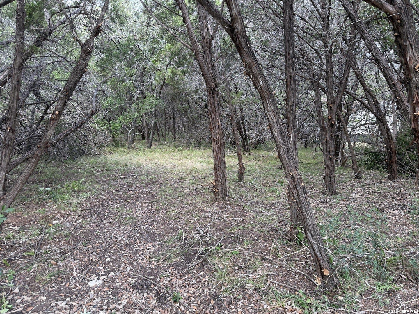 0.85 acres in Comal County - photo 4