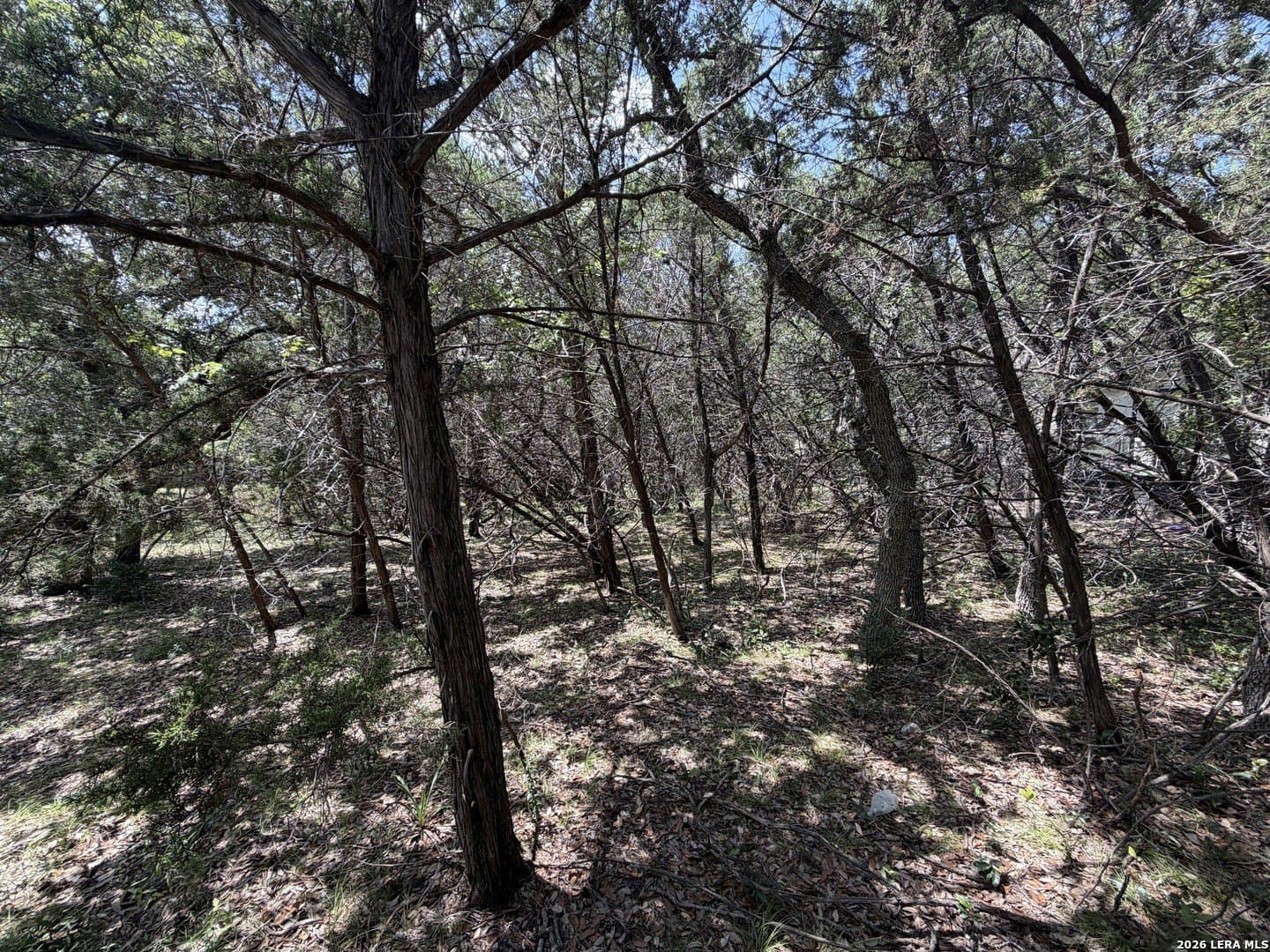 0.85 acres in Comal County - photo 15