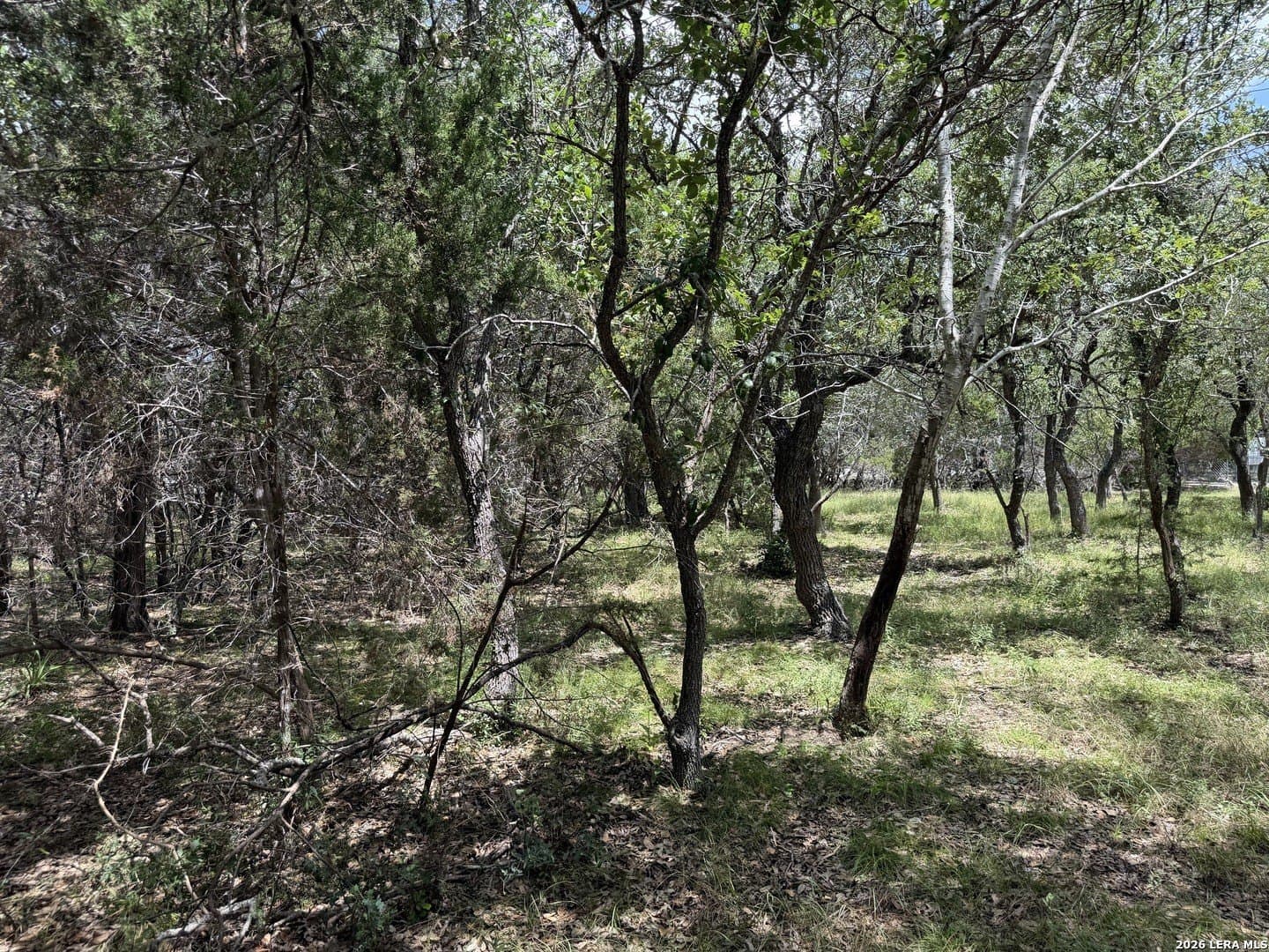 0.85 acres in Comal County - photo 11