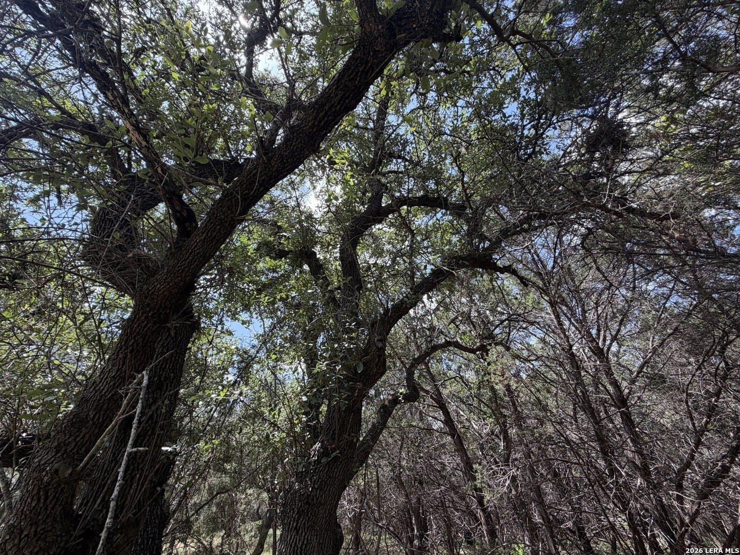 0.85 acres in Comal County - photo 27