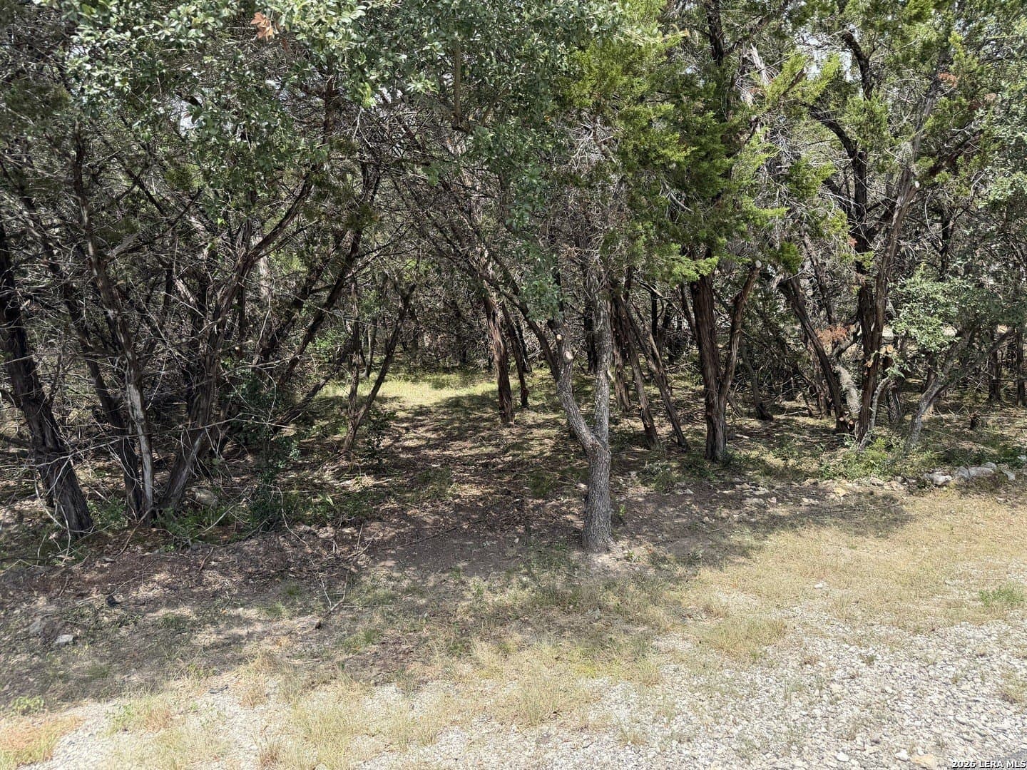 0.85 acres in Comal County - photo 8