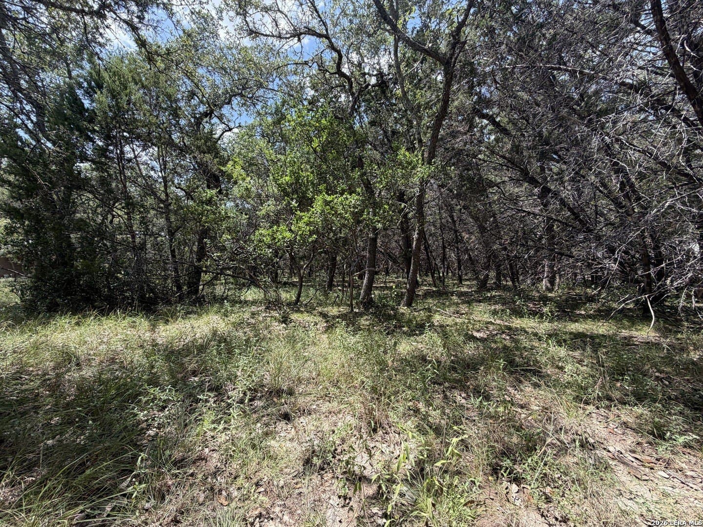 0.85 acres in Comal County - photo 19