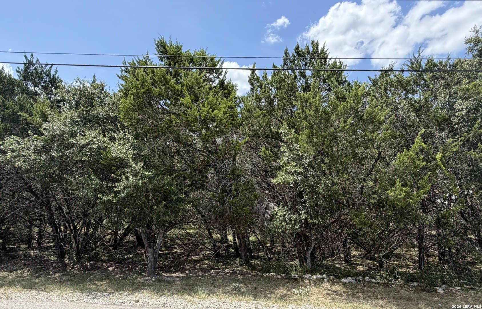 0.85 acres in Comal County - photo 40