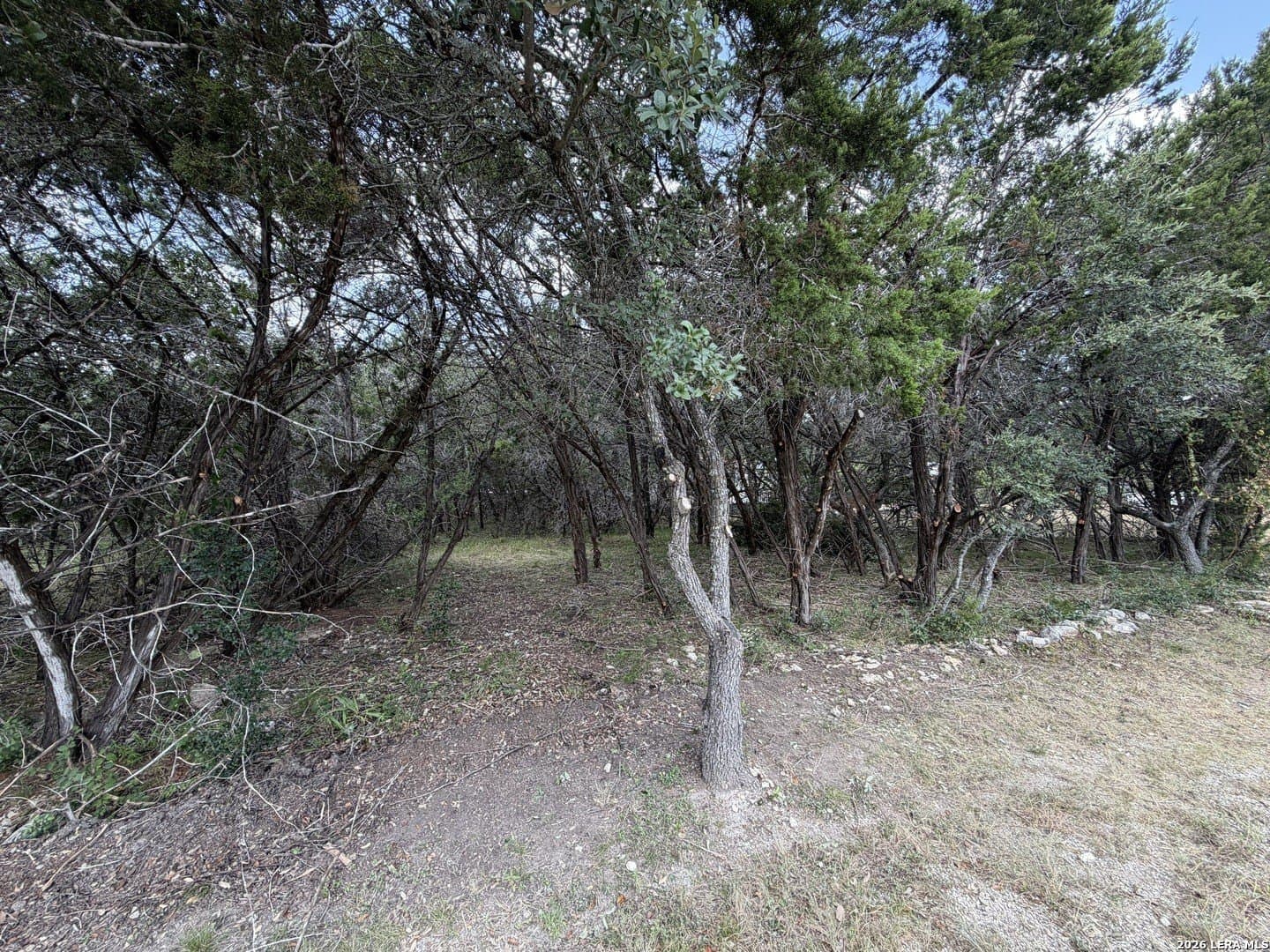 0.85 acres in Comal County - photo 2