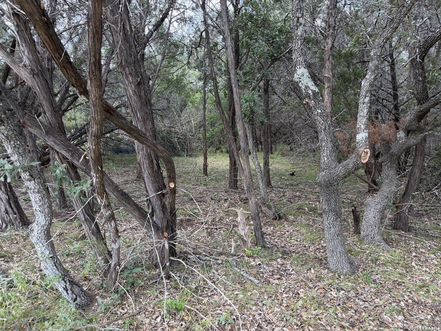 0.85 acres in Comal County - photo 6