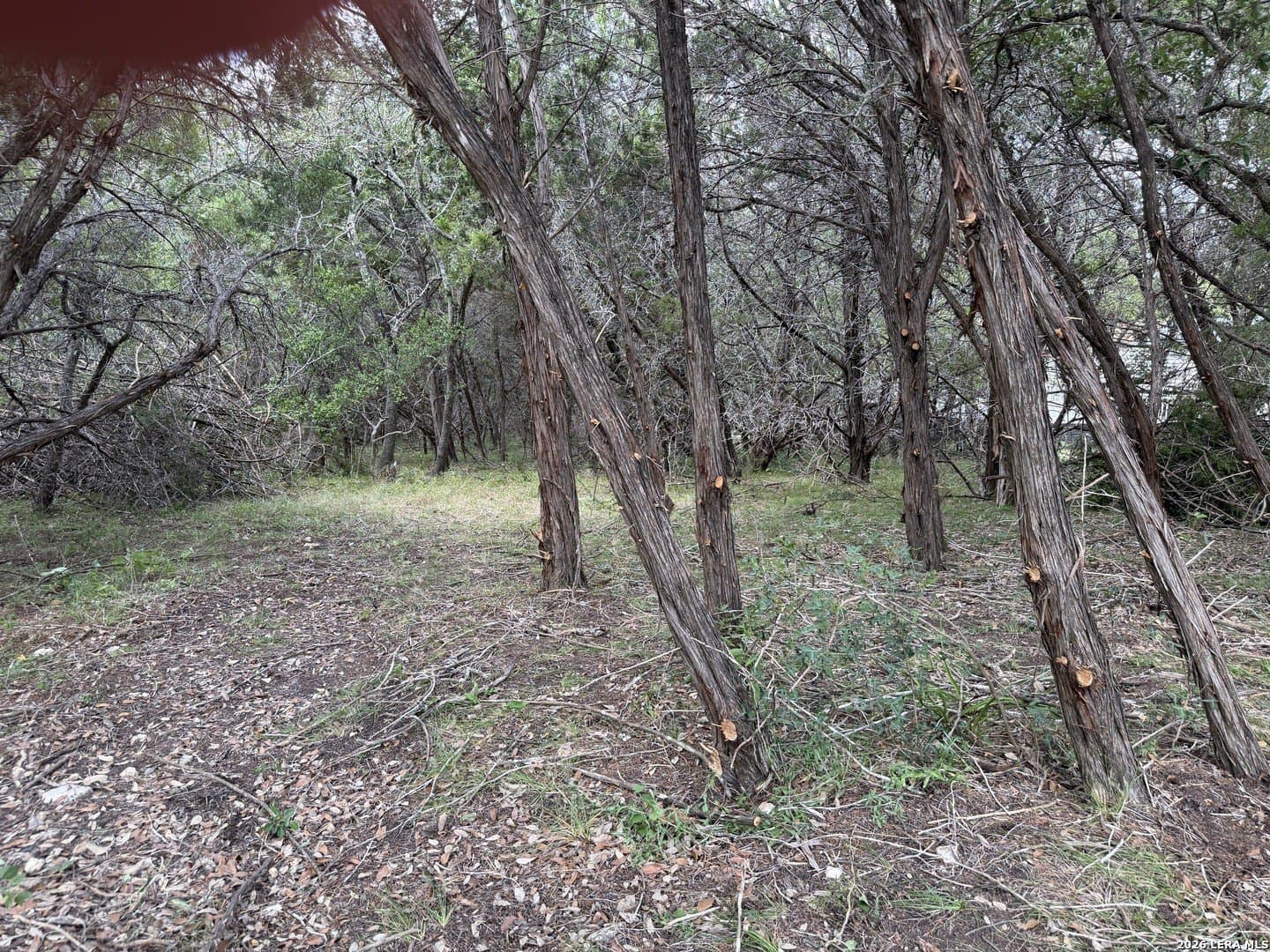 0.85 acres in Comal County - photo 5