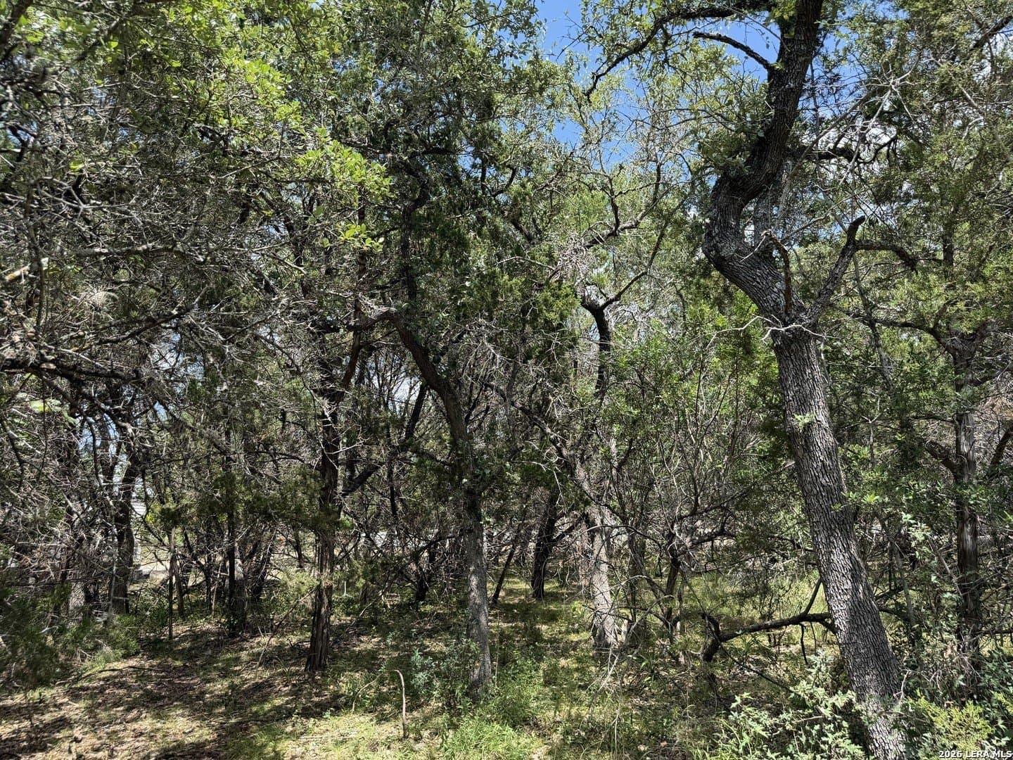 0.85 acres in Comal County - photo 35
