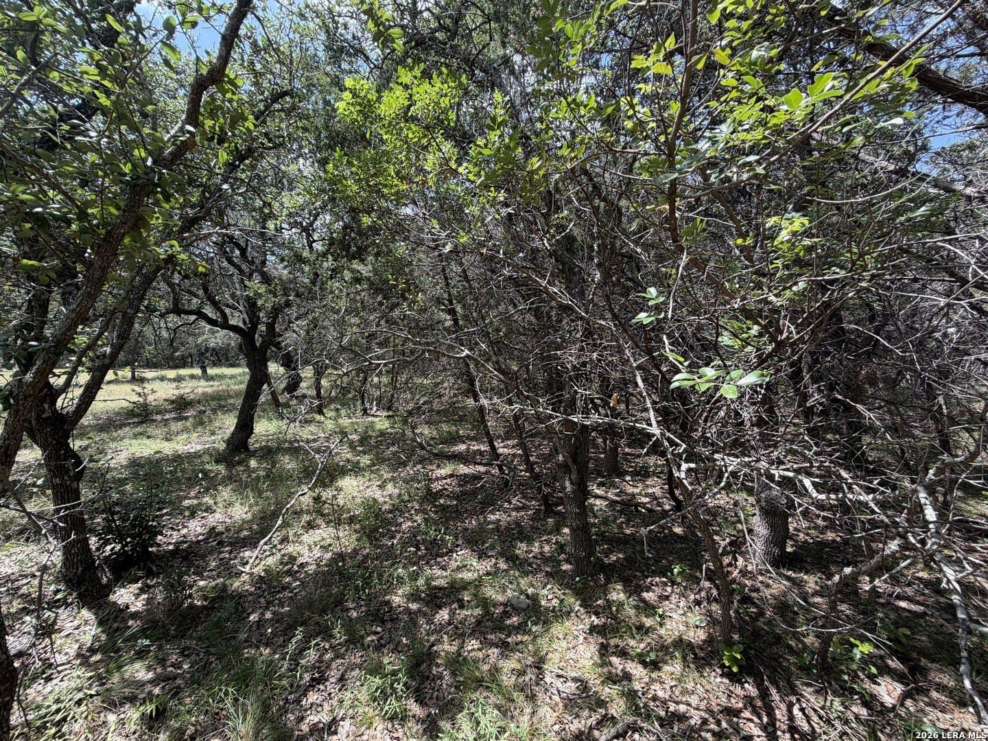 0.85 acres in Comal County - photo 28