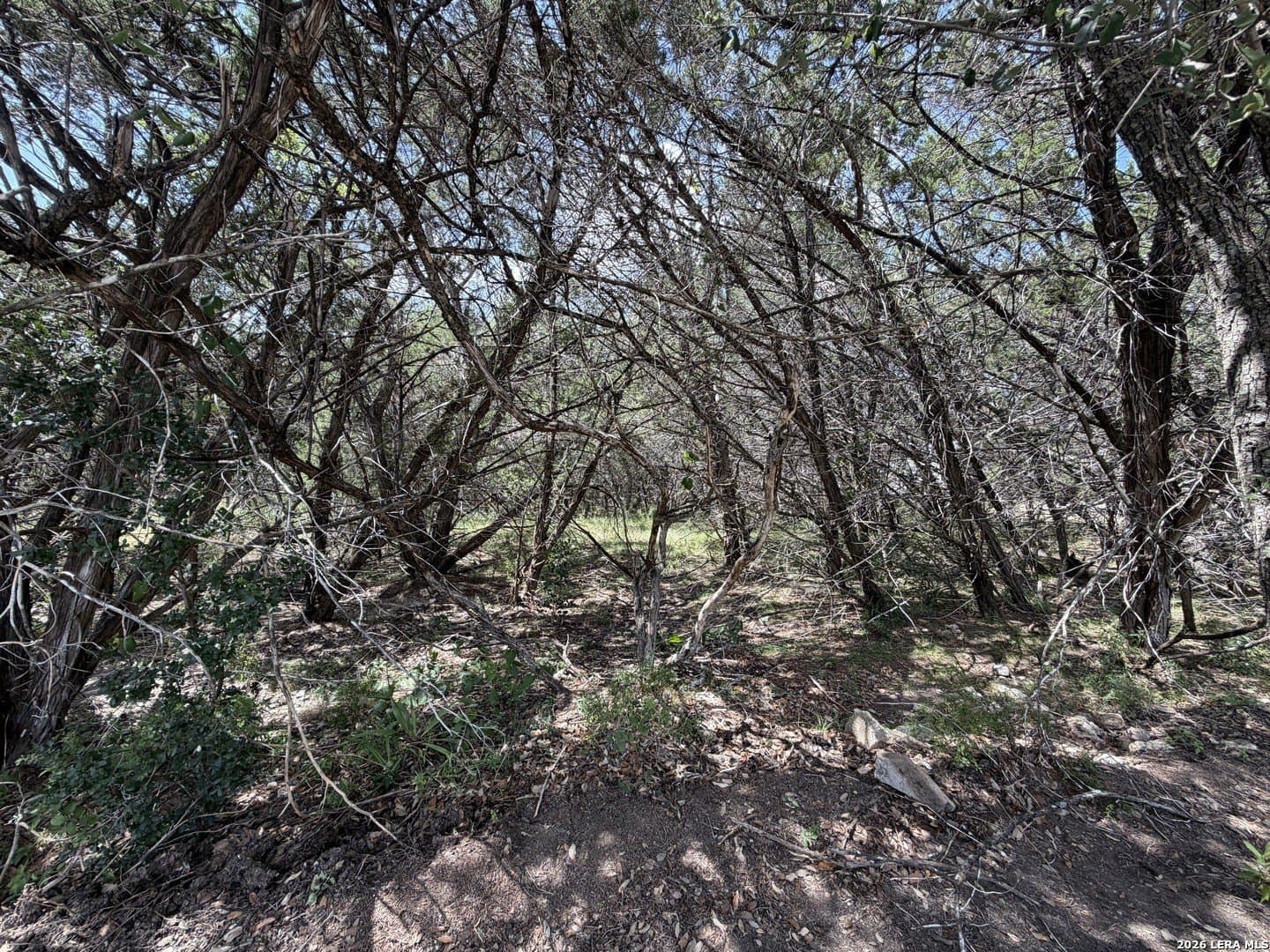 0.85 acres in Comal County - photo 39