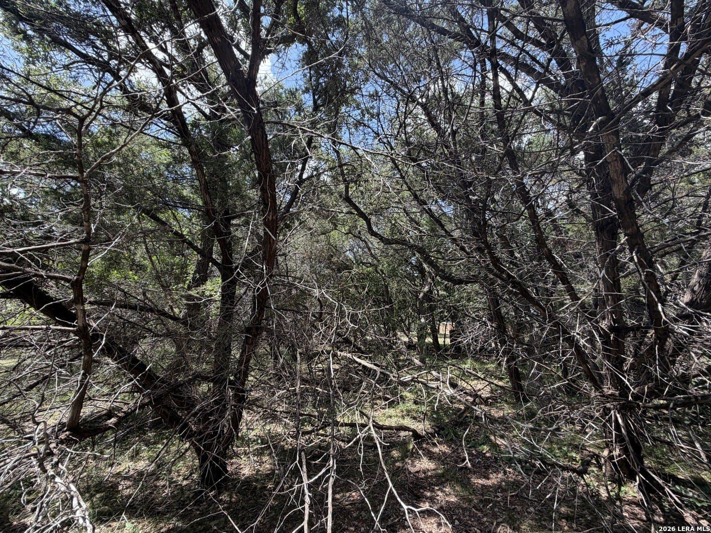 0.85 acres in Comal County - photo 29