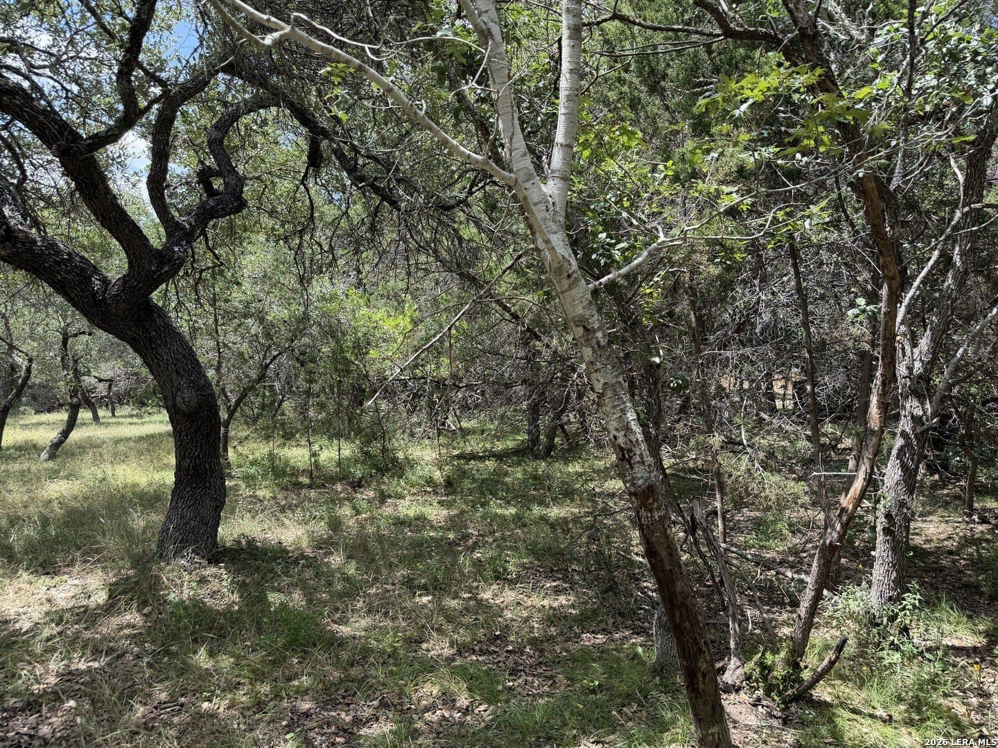 0.85 acres in Comal County - photo 32