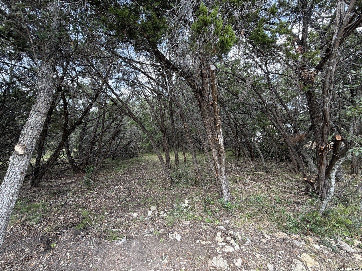 0.85 acres in Comal County - photo 3