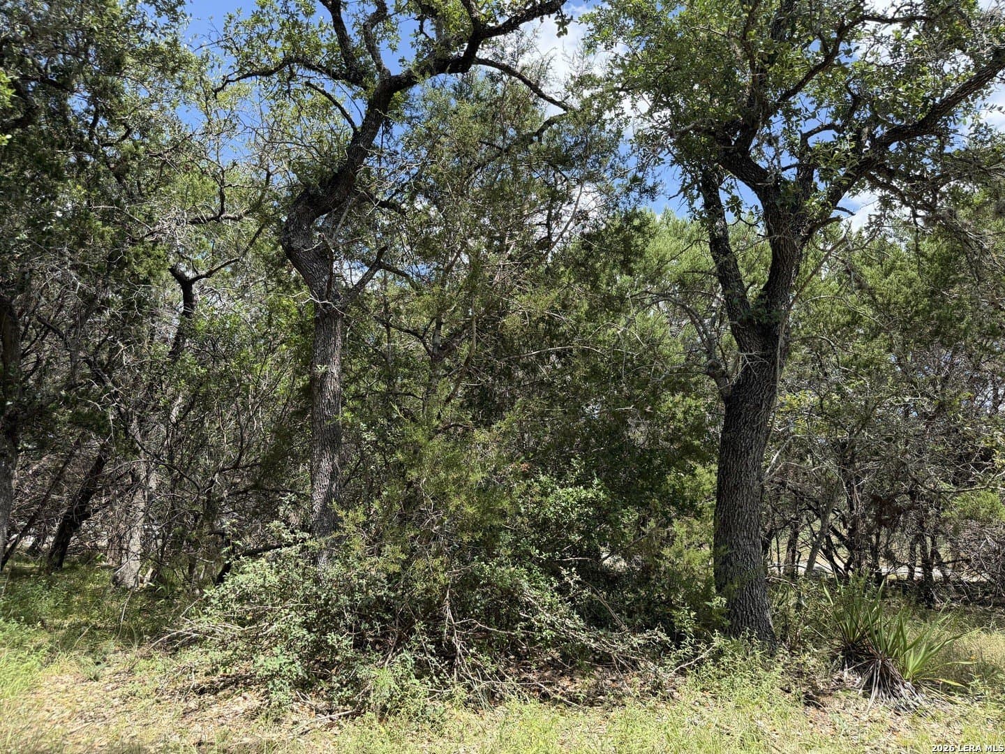0.85 acres in Comal County - photo 14