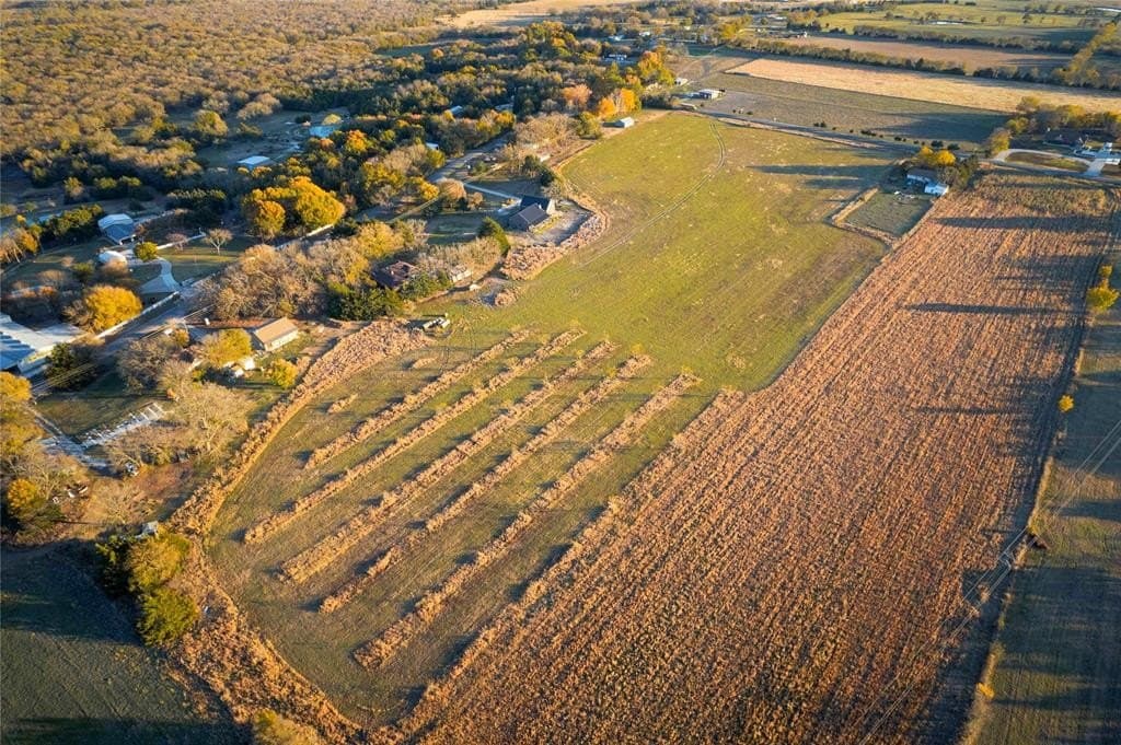 11.5 acres in Collin County gallery image 2