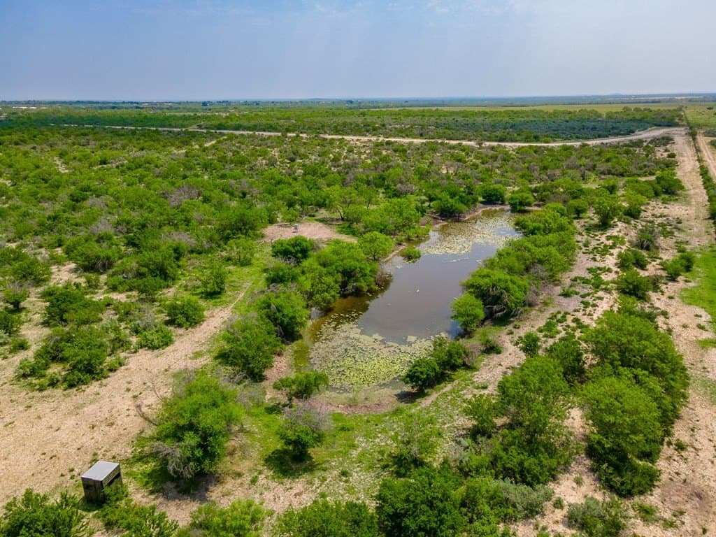 338.5 acres in Uvalde County featured view