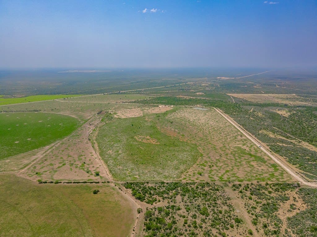 338.5 acres in Uvalde County gallery image 4