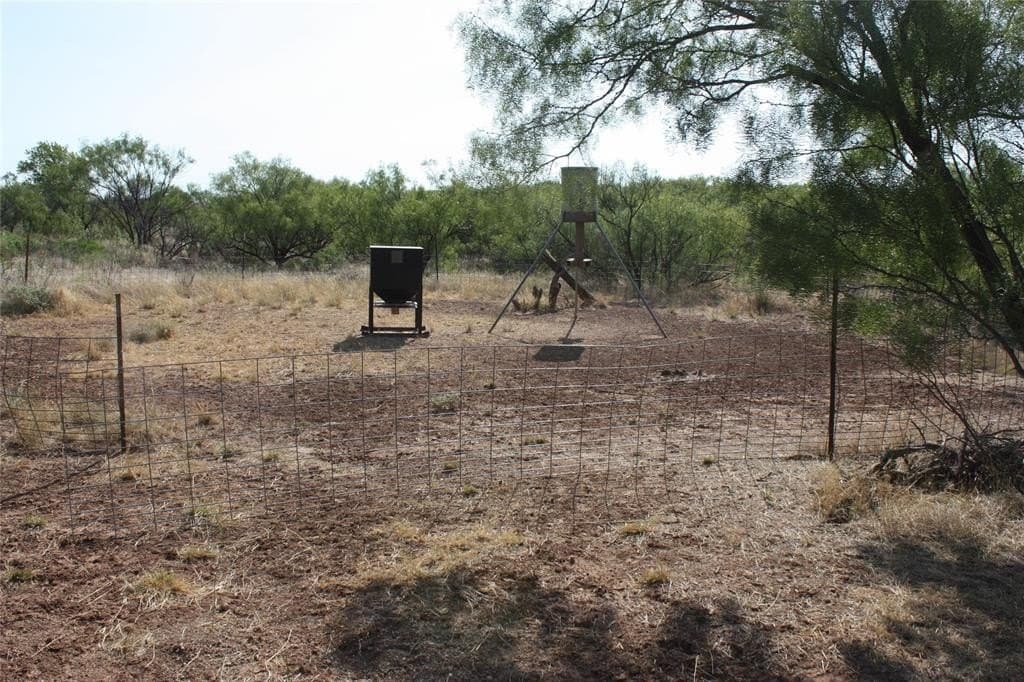 319 acres in Baylor County gallery image 3