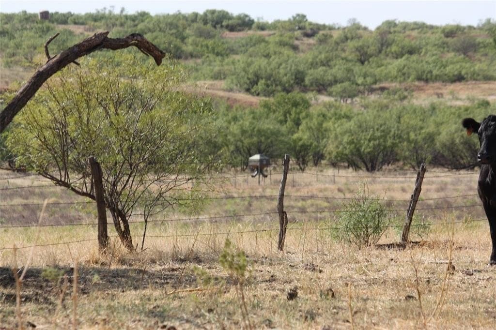 319 acres in Baylor County