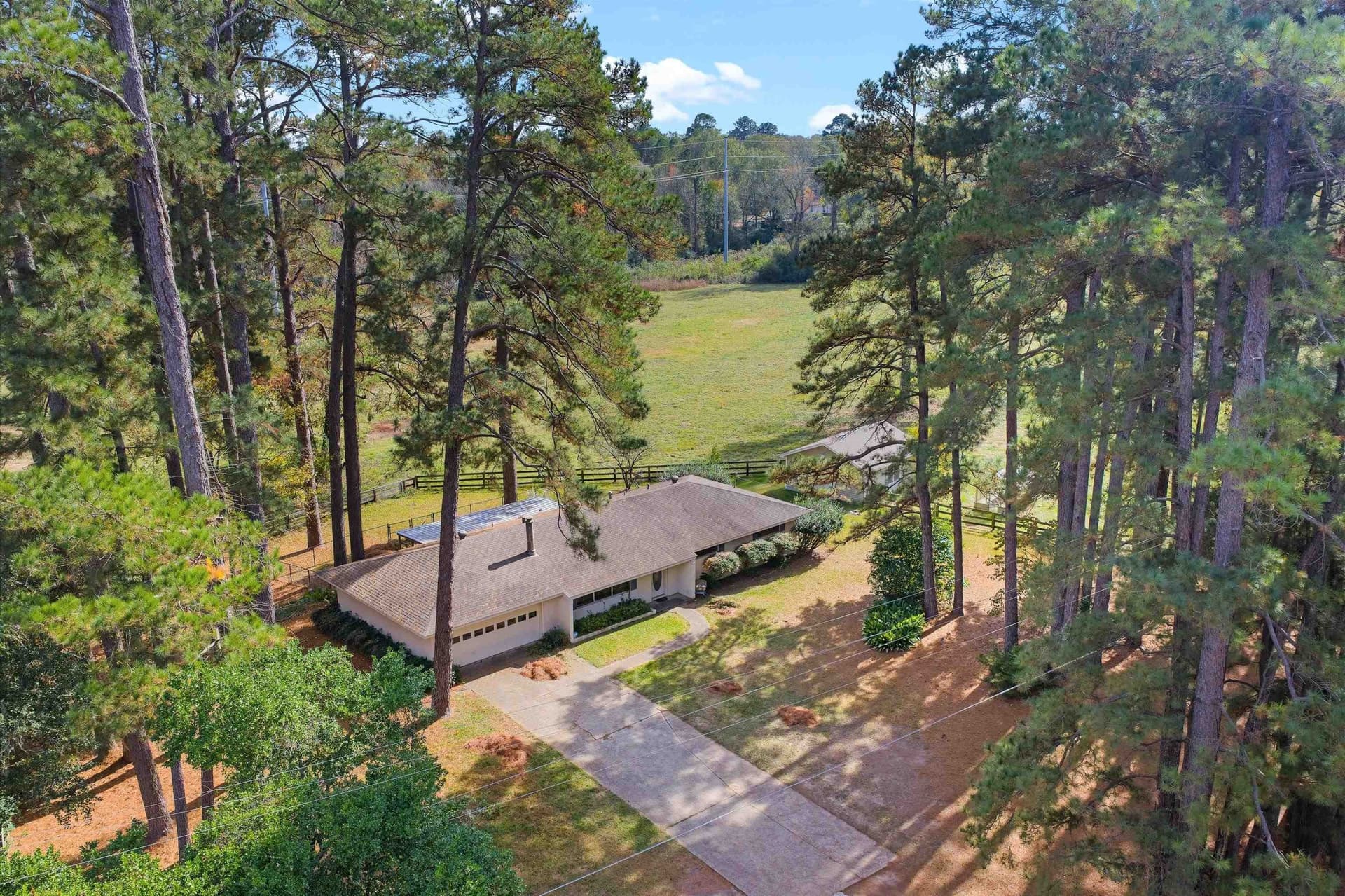 11.5 acres in Panola County gallery image 2