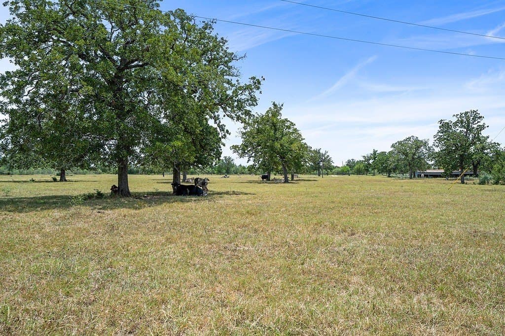 25 acres in Fayette County - photo 19