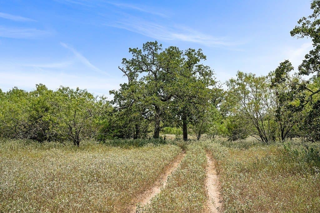 25 acres in Fayette County - photo 23
