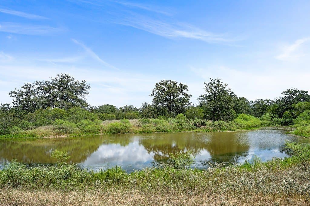 25 acres in Fayette County - photo 17