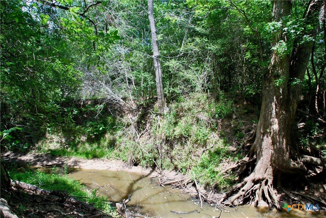 368 acres in Gonzales County - photo 14
