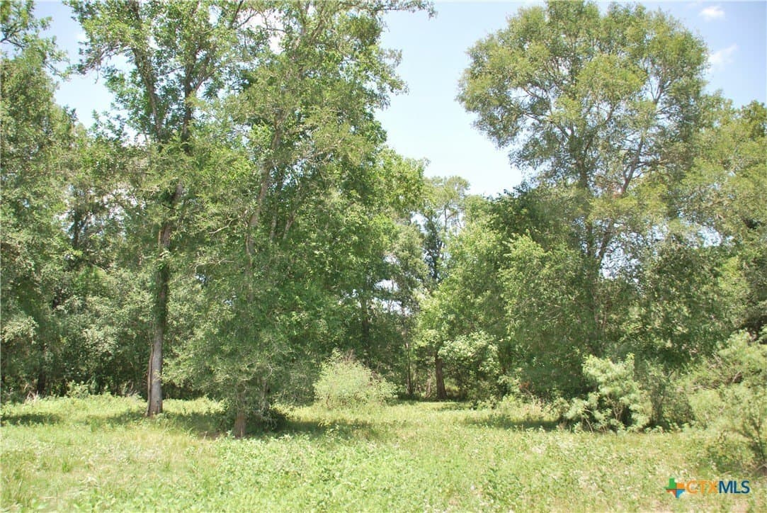 368 acres in Gonzales County - photo 16