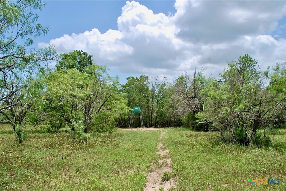 368 acres in Gonzales County - photo 32