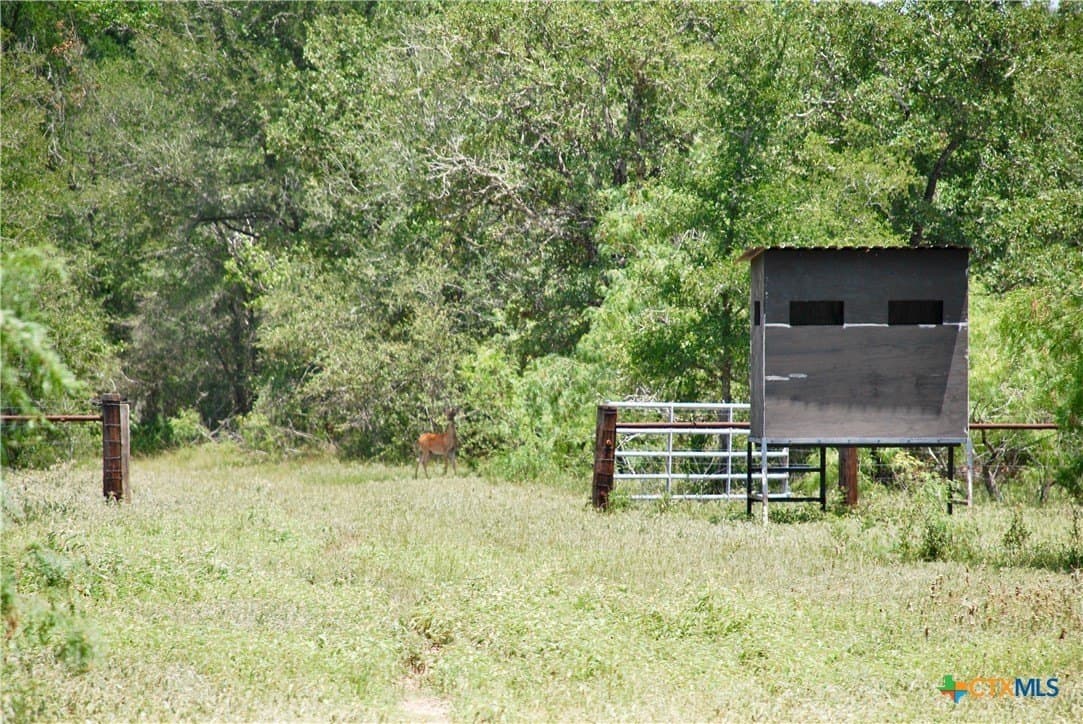 368 acres in Gonzales County - photo 18