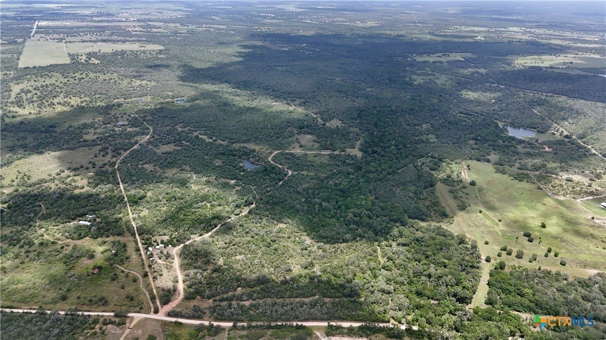 368 acres in Gonzales County gallery image 4