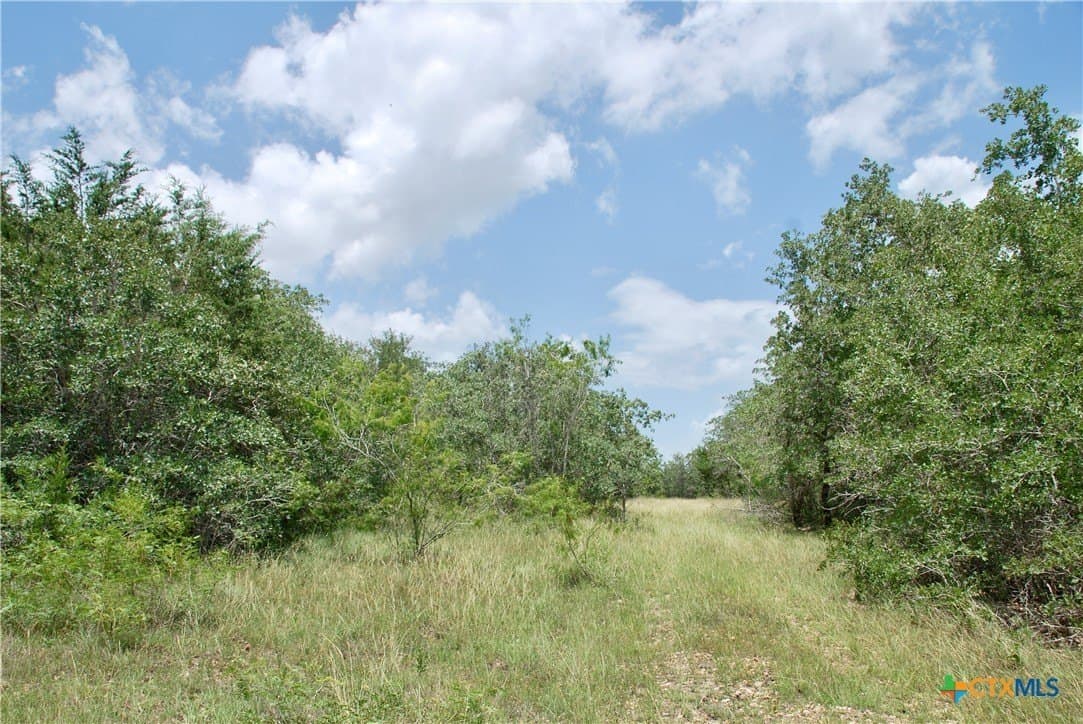 368 acres in Gonzales County - photo 36
