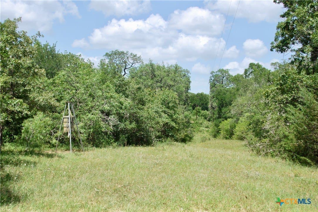 368 acres in Gonzales County - photo 12