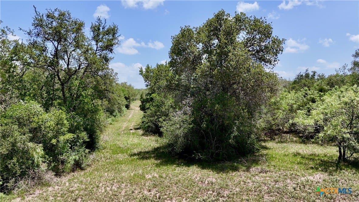 368 acres in Gonzales County - photo 35