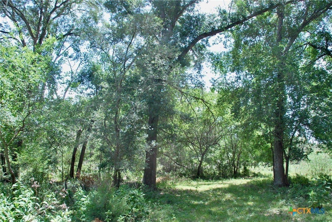 368 acres in Gonzales County - photo 13