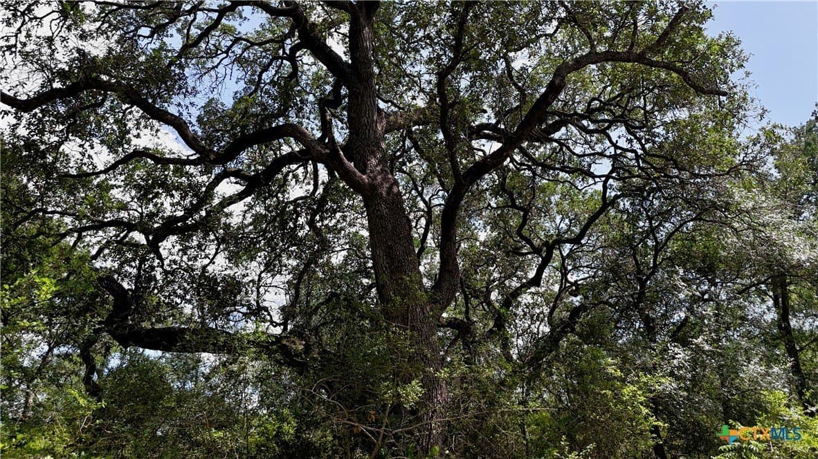 368 acres in Gonzales County - photo 7