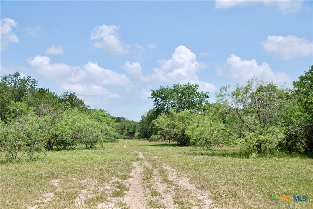 368 acres in Gonzales County - photo 37