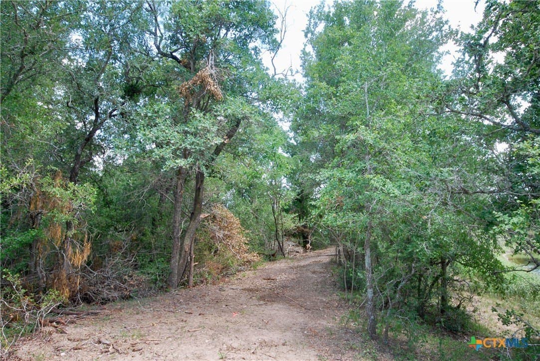 368 acres in Gonzales County - photo 41
